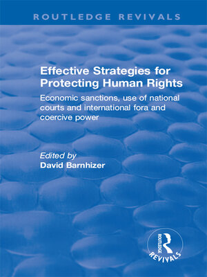 cover image of Effective Strategies for Protecting Human Rights